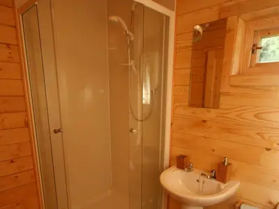 a bathroom with a shower and a sink at Forest Lodge in Dumfries
