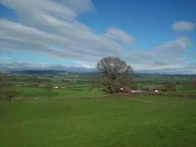 a large green field with a tree in the middle at Beuchan Cottage Keir Mill in Closeburn