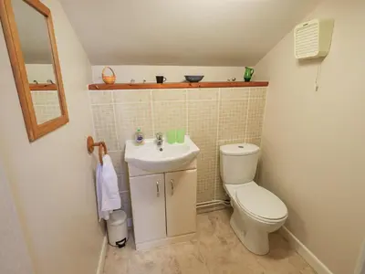 a small bathroom with a toilet and a sink at Hollens Cottage in Ambleside
