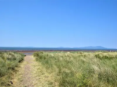 a dirt road through a field of grass at North Lodge Retreat Allonby in Maryport