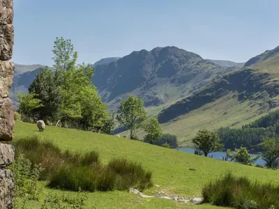 a sheep grazing on a hill with mountains in the background at 4 Bed in Buttermere oc-sz090 in Buttermere