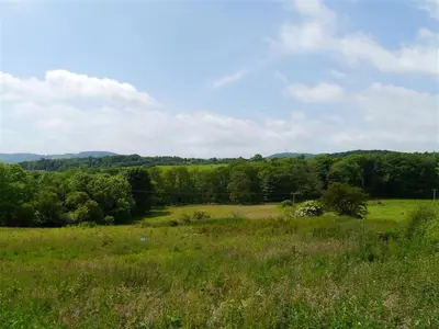 a field of grass with trees in the background at Swallow Cottage in Dalbeattie