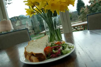 a sandwich and salad on a plate with a vase of flowers at The Boot Inn in Boot