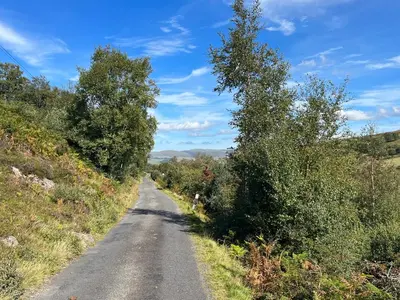 a dirt road with trees on the side of it at Ryehill with Fishing in Sanquhar