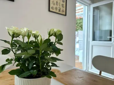 a white vase with a plant sitting on a table at Cosy Cumbrian home away from home in Whitehaven
