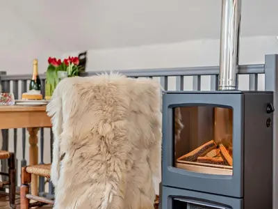 a dog sitting in front of an oven at 1 Bed in Eskdale 95105 in Eskdale