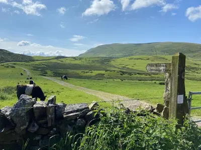 a fence and some animals in a grassy field at Stanleys Sanctuary, Lake District in Plumbland