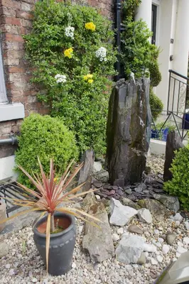 a garden with a plant in a pot at Cartref Guest House in Carlisle