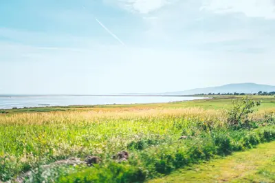 a field of grass with the ocean in the background at Queensberry Bay Essential Clover Caravan in Annan