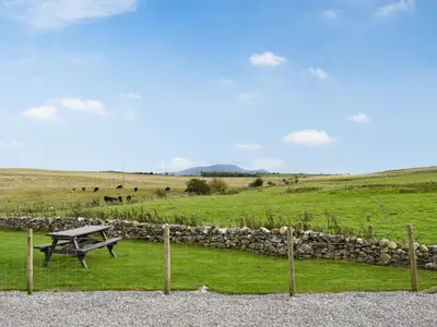a picnic table in a field with a stone wall at Regal Lodge in Plumbland