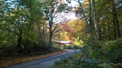 a road with a house in the middle of a forest at The Shack, Cally Avenue, Gatehouse of Fleet, Dumfries and Galloway, DG7 2 DH in Gatehouse of Fleet