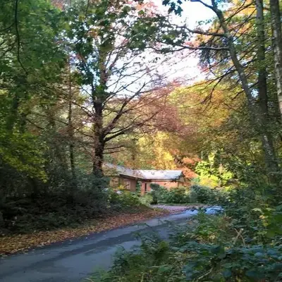 The Shack