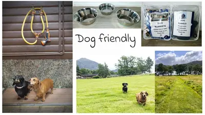a collage of pictures of dogs in a field at Lodge by the Lake - Lake District - Hot Tub in Bassenthwaite