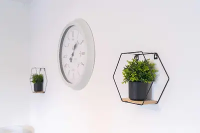 a clock and two potted plants on a wall at CS House in Carlisle