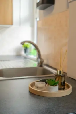 a kitchen counter with a sink and a tray with a plant at CS House in Carlisle