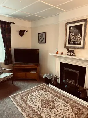 a living room with a television and a fireplace at Lazy Days in Moffat