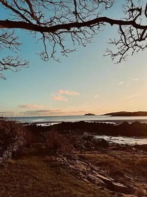 a view of a body of water with a tree at Whitegates in Rockcliffe