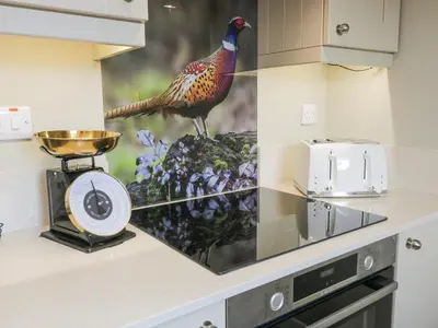 a painting of a peacock on a counter in a kitchen at Waterside Lodge in Lockerbie