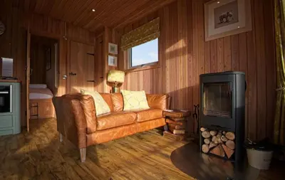 a living room with a couch and a fireplace at Little Willow in Gatehouse of Fleet