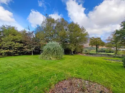 a field of grass with a bush in the middle at 3 Bed in Loweswater oc-w30224 in Loweswater