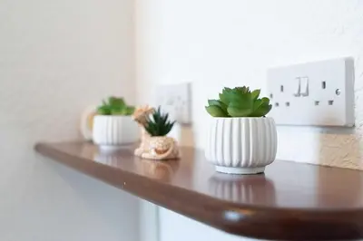 three plants in white vases sitting on a shelf at Carlisle Comfort Terrace in Carlisle