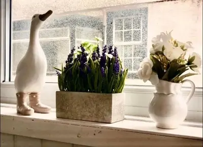three vases and flowers sitting on a window sill at Cute Cottage in Historic Port Carlisle 12miles from M6 in Port Carlisle