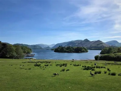 a grassy field with birds in a field next to a lake at Berkeley House in Keswick