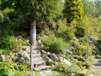 a group of rocks and a tree on a hill at Craigrathan in Kippford
