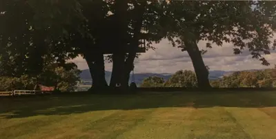 a park with trees and a bench in the grass at Holly Lodge, Gilchristland Organic Farm cottage in Closeburn