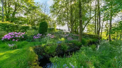 a garden with colorful flowers and trees at Lochpatrick Mill in Castle Douglas