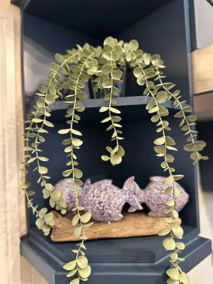 a shelf with a bunch of plants on it at Sea Ayr - City Centre Apartment in Ayr