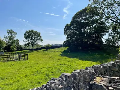 a field with a stone wall and a tree at Barcloy Milk House in Kirkcudbright