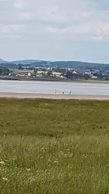 a beach with a field of grass and a body of water at Rose cottage on the peaceful solway coast in Port Carlisle