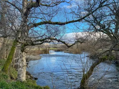a view of a river with trees in the foreground at Hindsgarth in Keswick