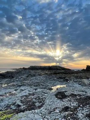 a sunset on a rocky beach with the sun in the sky at Oystercatcher in Dalby