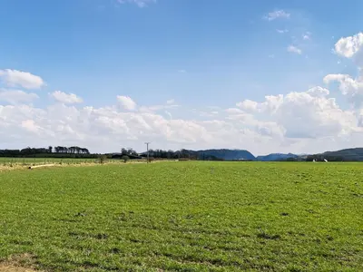 a large field of green grass with a blue sky at The Haven in Cockermouth