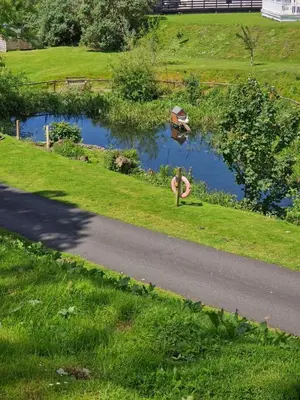a road next to a pond with a swan in the grass at Forest Valley Holiday Home in Ballantrae