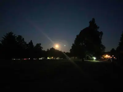 a park at night with a street light and trees at The Woodhouse Cabin 8 in Moffat