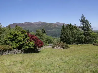 a field of grass with trees and mountains in the background at Swallow's Nest in Keswick