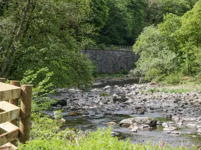 a river with a herd of sheep in it at Lingy Luxury Family Pod in Keswick