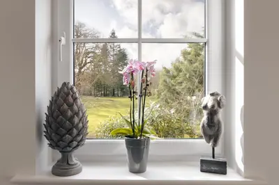 a window with flowers and a pineapple on a window sill at The Sanctuary - Ridgestone in Watermillock
