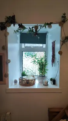 a window with a bunch of potted plants on a window sill at Cosy cottage near Thornhill in Closeburn