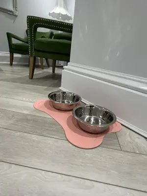 two bowls sitting on a pink rug in a living room at Stunning 2 bedroom Apartment in Central Keswick in Keswick