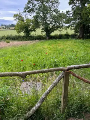 a wooden fence in front of a field of grass at Bracken Barns Glamping & Massage in Minishant