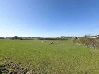 a group of animals grazing in a green field at Spacious 4-Bed Lake District Getaway for Groups in Mealsgate