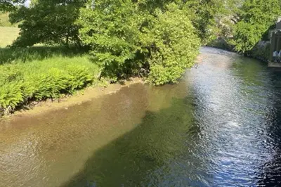 a view of a river with trees and grass at Riverbank Cottage River Ehan Double Balcony in Egremont