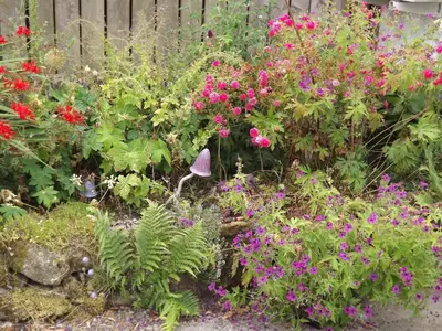 a garden with pink and purple flowers and a fence at The Old Dairy in Lochfoot