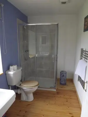 a bathroom with a toilet and a glass shower at The Old Dairy in Lochfoot