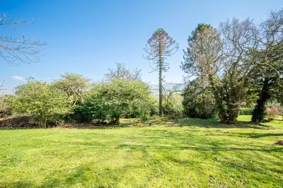 a field of grass with trees in the background at The Stables Cottage, Beattock, Moffat in Beattock