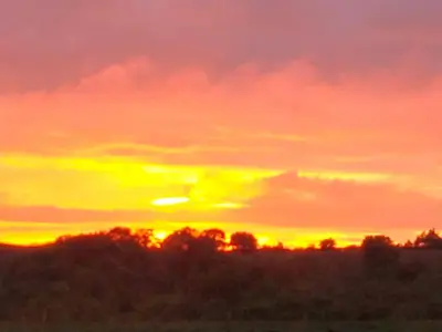 a sunset over a field with trees in the foreground at Torr Cottage in Dalrymple